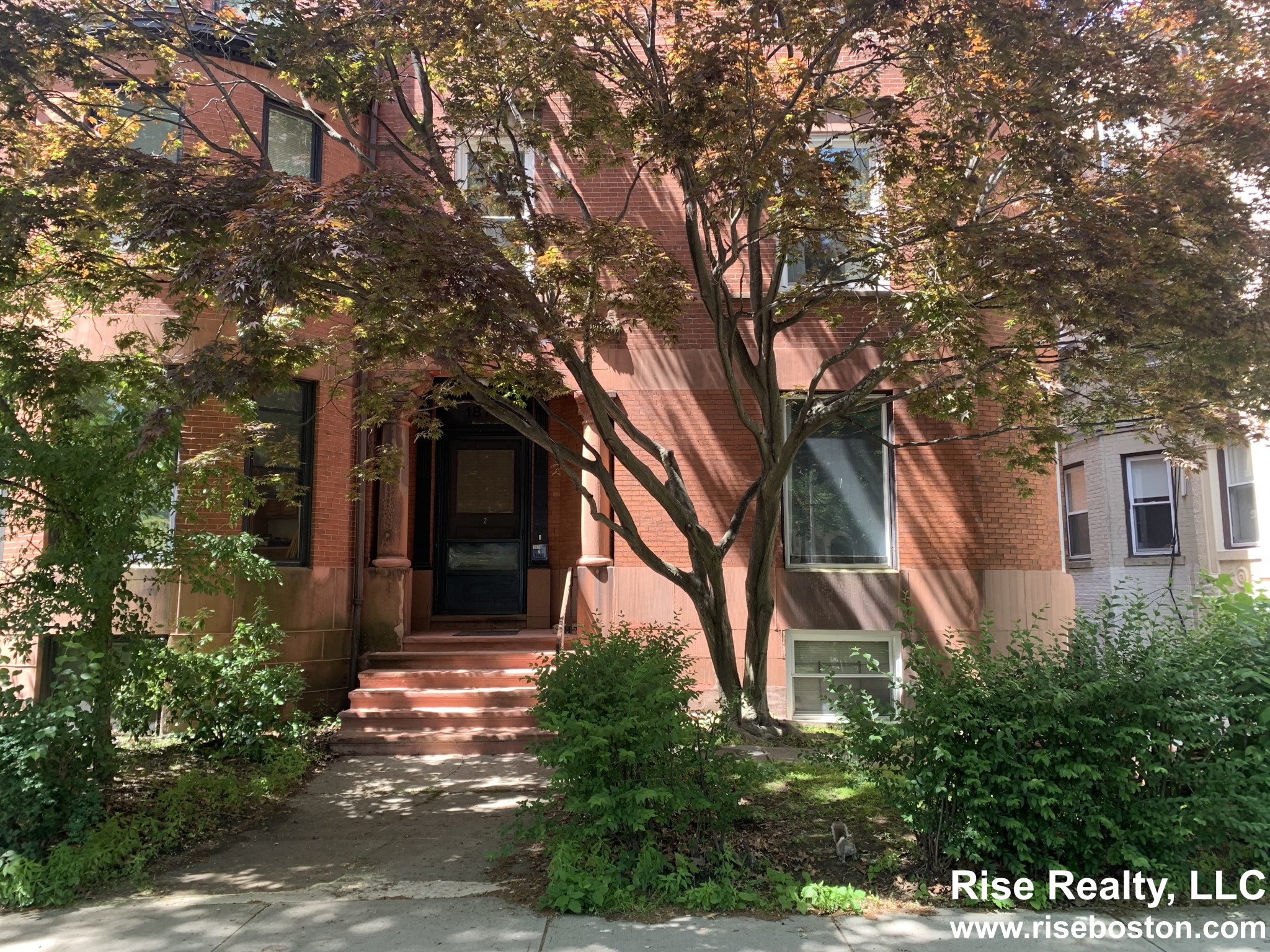 1874 Beacon St, Washington Square