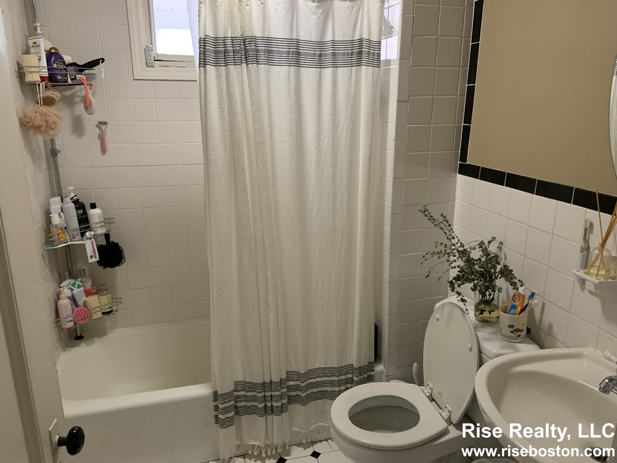 4 bed, 2 bath apartment for rent at 3 Appianway, Allston — photo 5 of 12