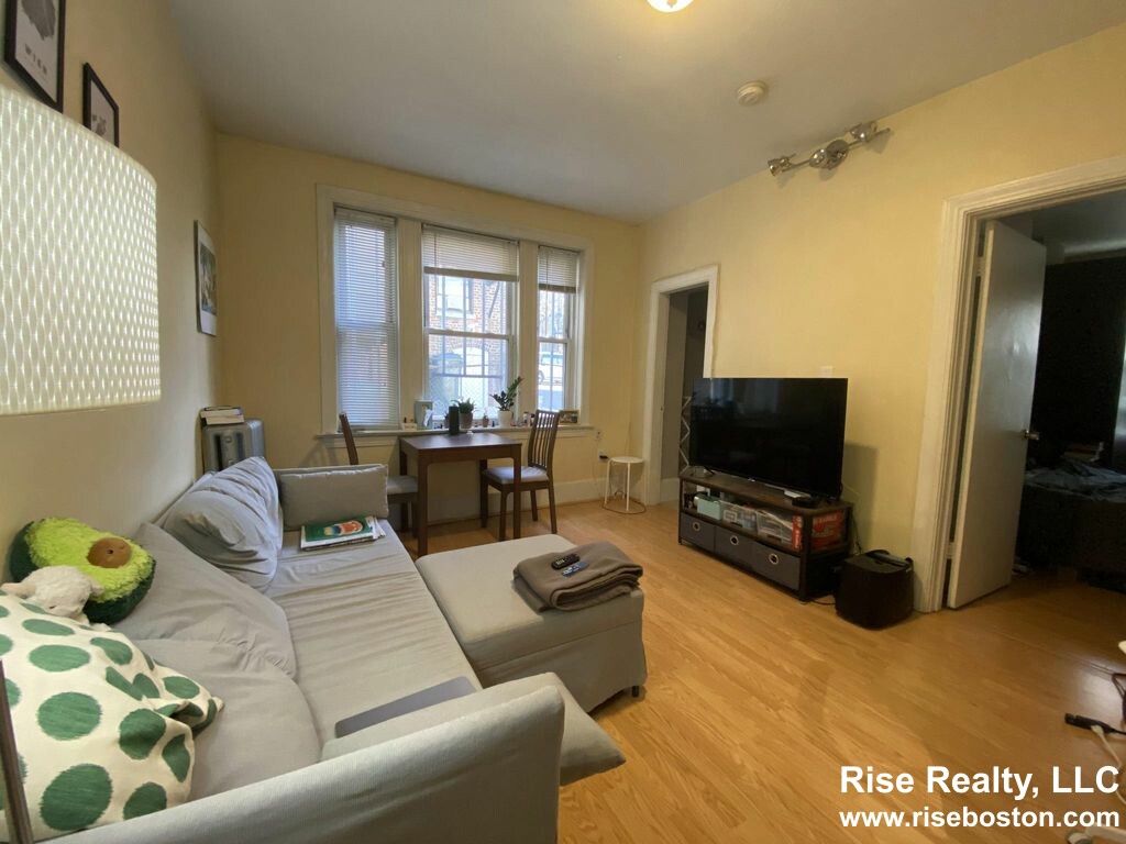 1 bed, 1 bath apartment for rent at 56 Park Vale Ave Unit 4, Allston — photo 2 of 4