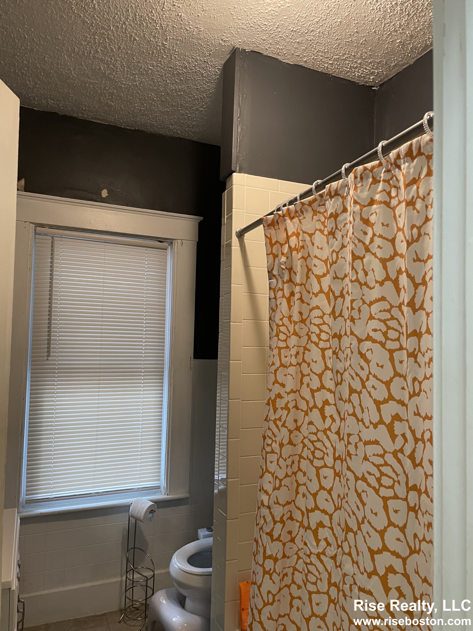 1 bed, 1 bath apartment for rent at 7 Reed St Unit 1, Mid Cambridge — photo 7 of 11