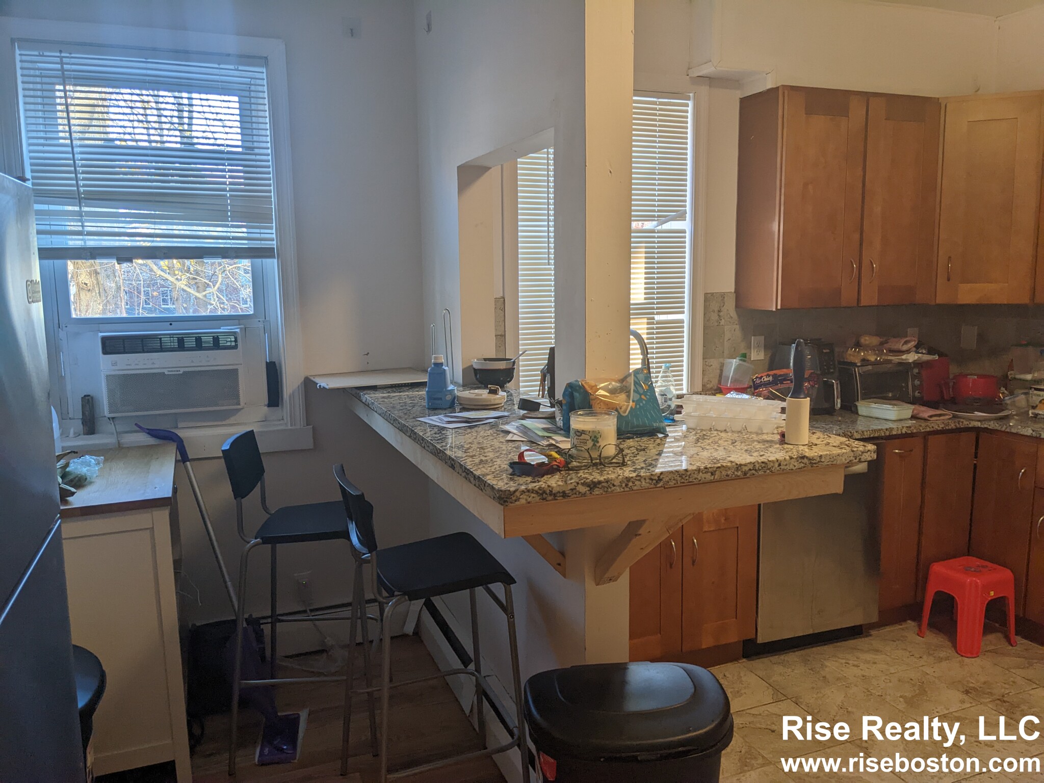 6 Bickford Ave, Mission Hill