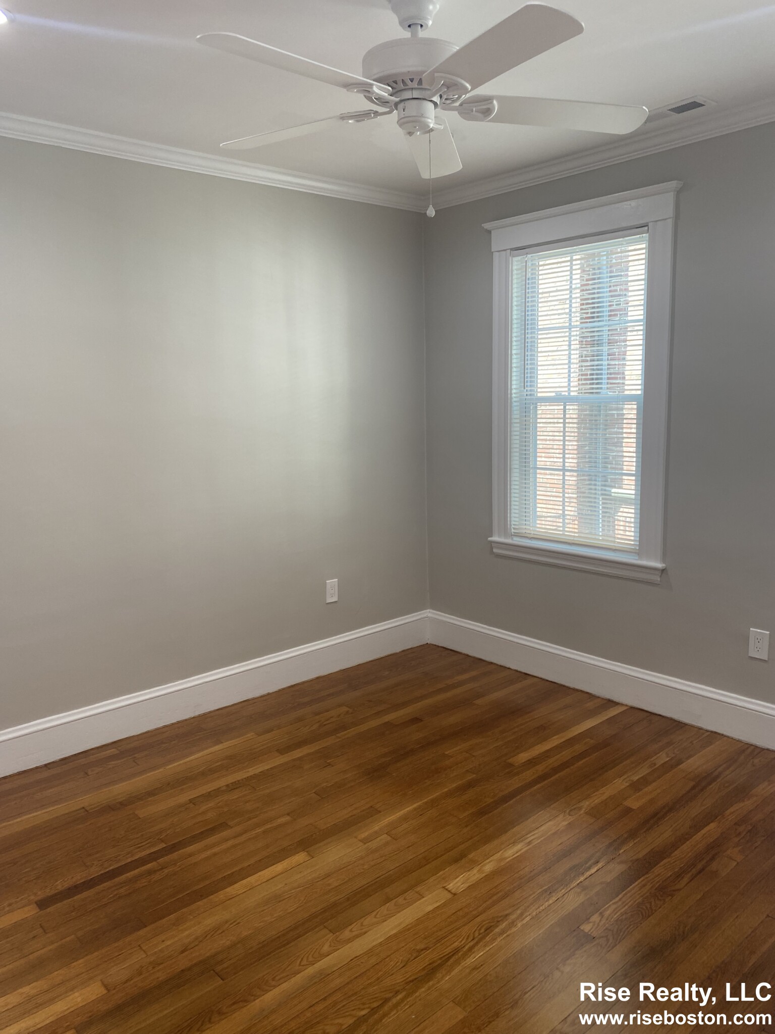 68 Manet, Chestnut Hill