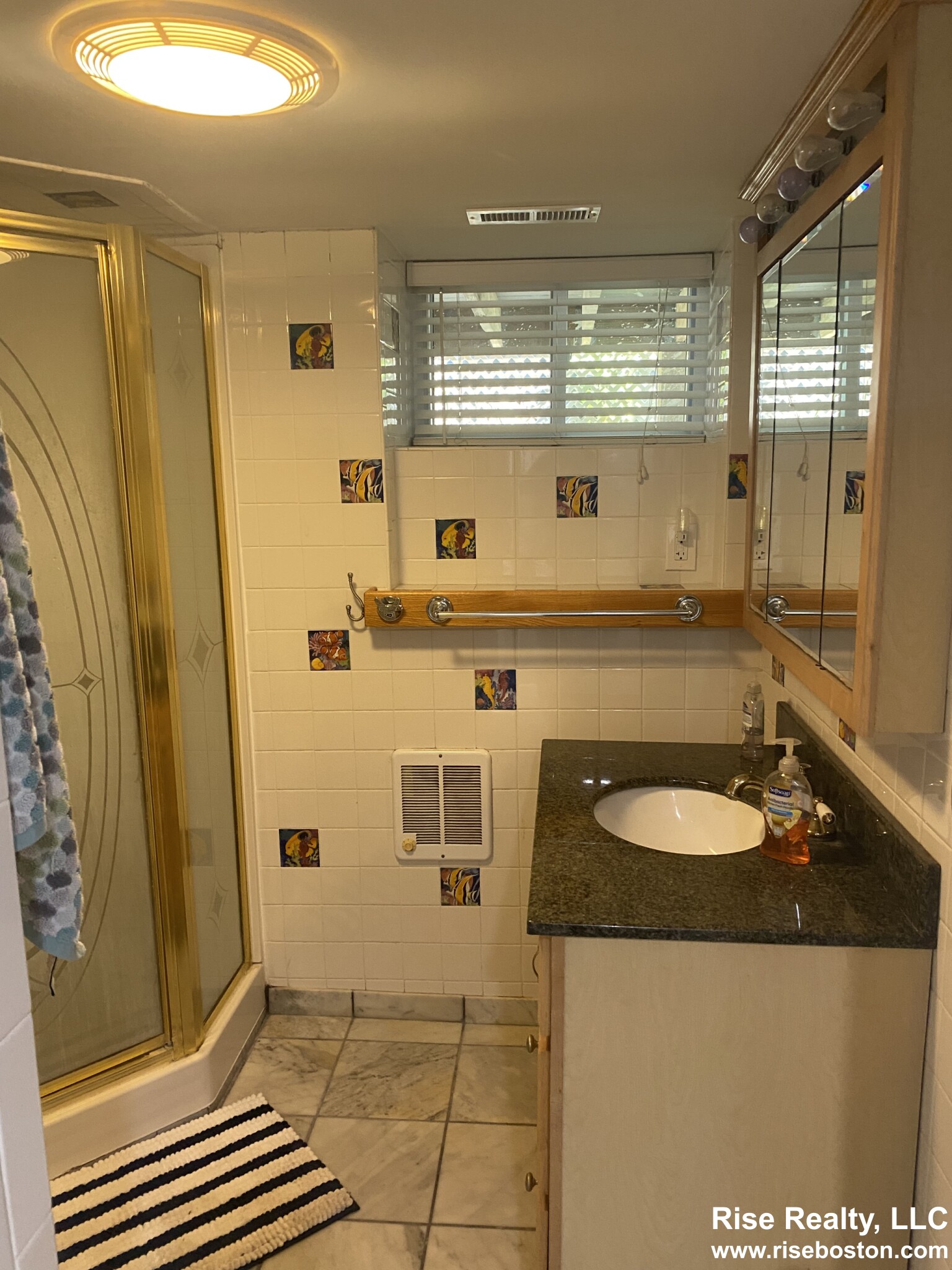 68 Manet, Chestnut Hill