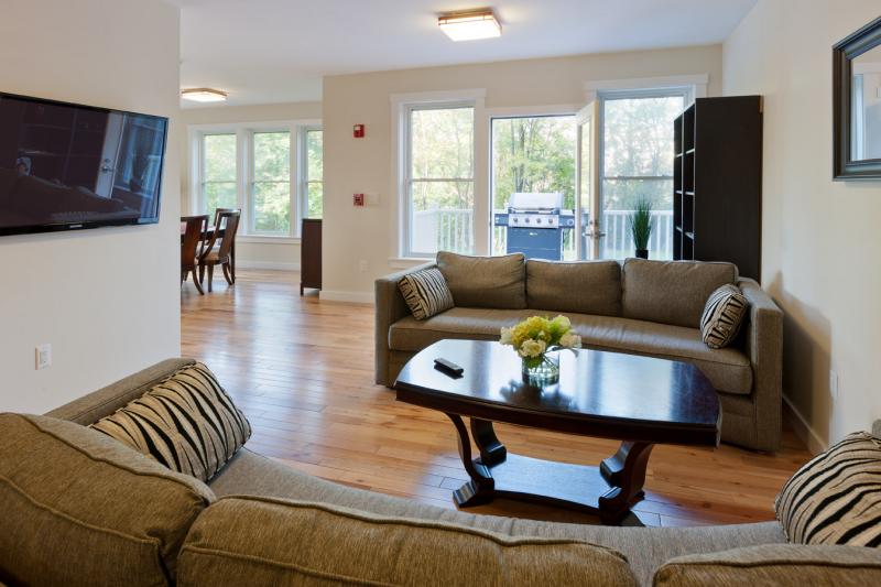 Concept Properties