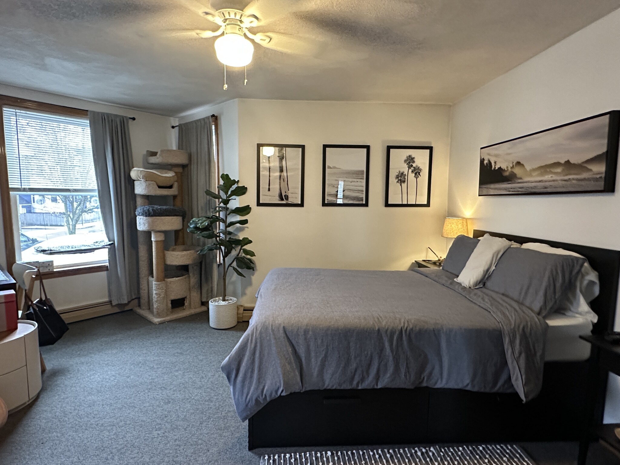 32 Bradley St, Winter Hill