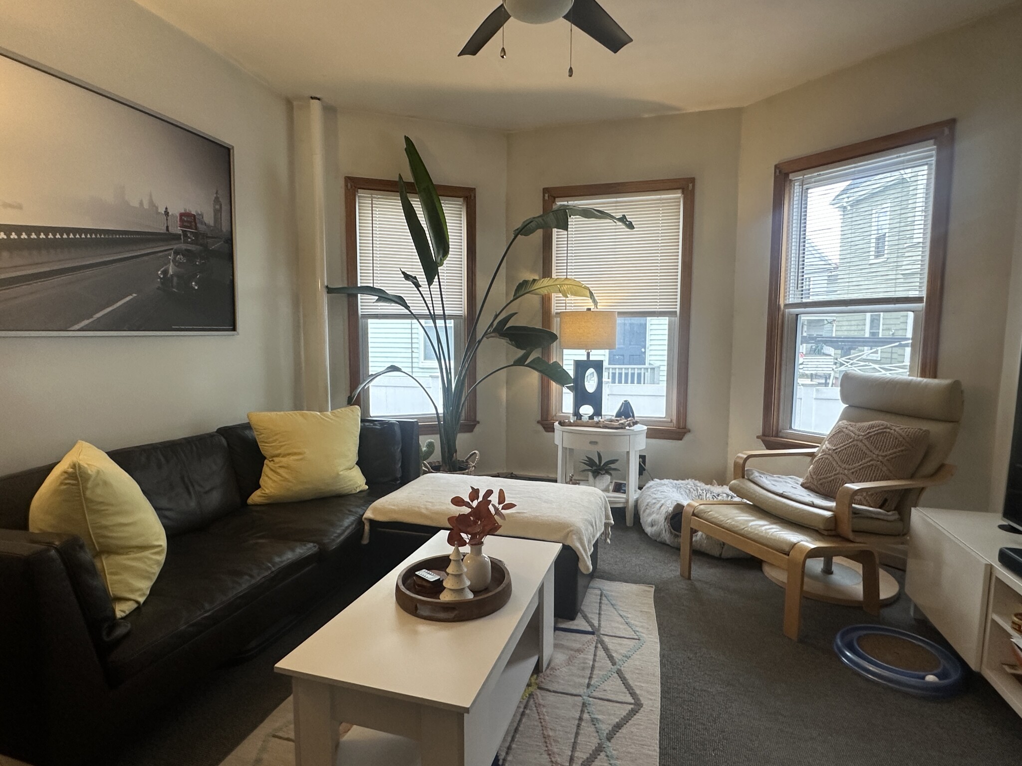 32 Bradley St, Winter Hill