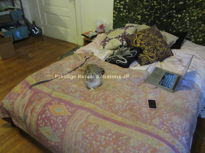 41 Bay State Rd, Fenway