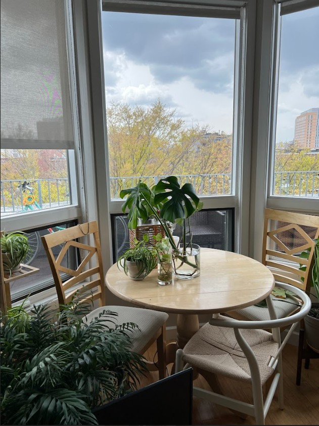 557 Columbus Ave, Back Bay