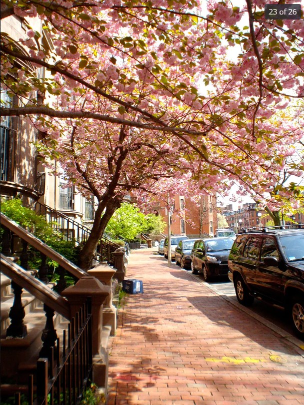 538 Massachusetts Ave, South End