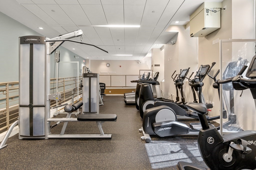 21 Father Francis Gilday St, South End