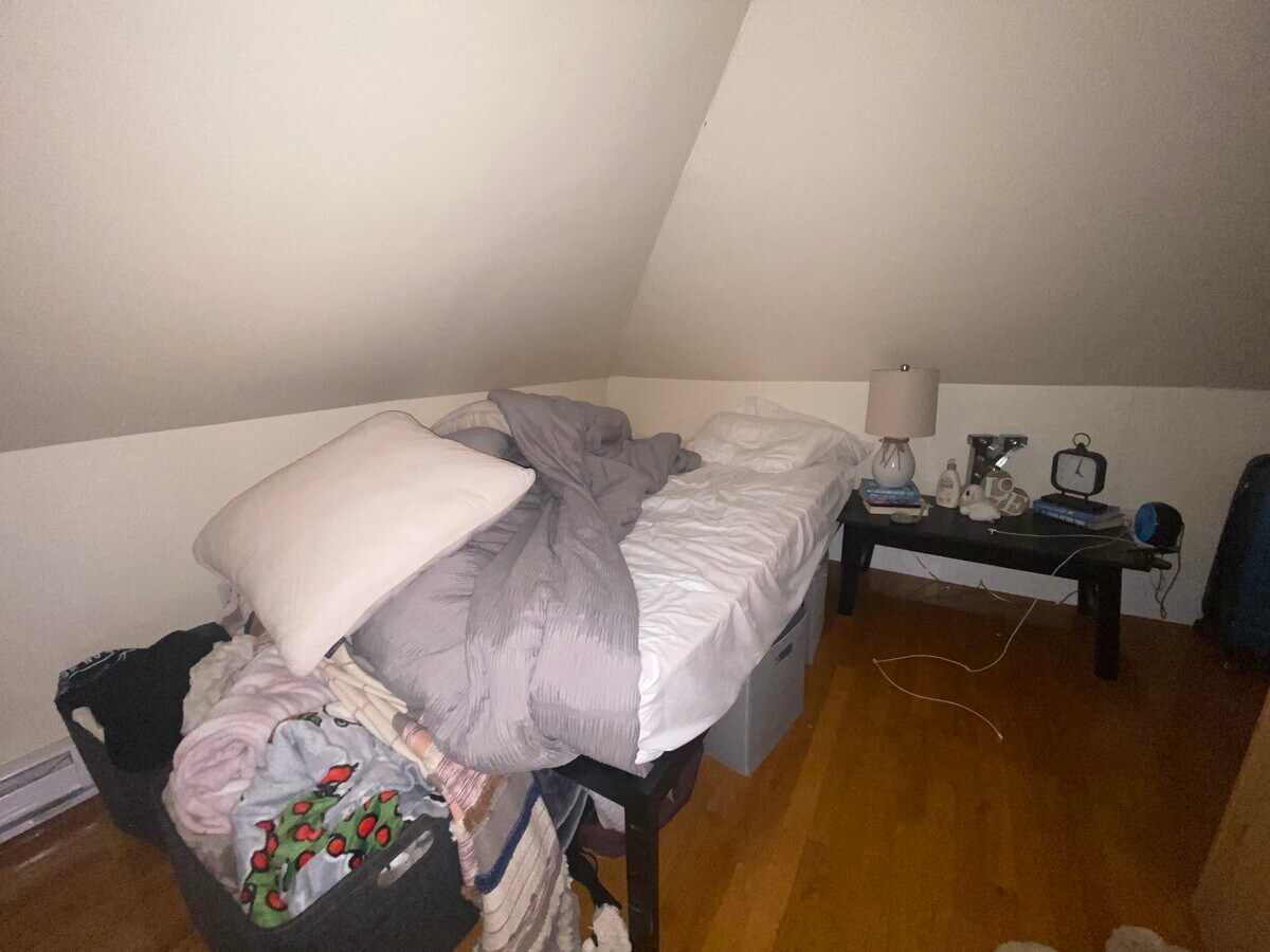 12 Gerald Rd, Brighton