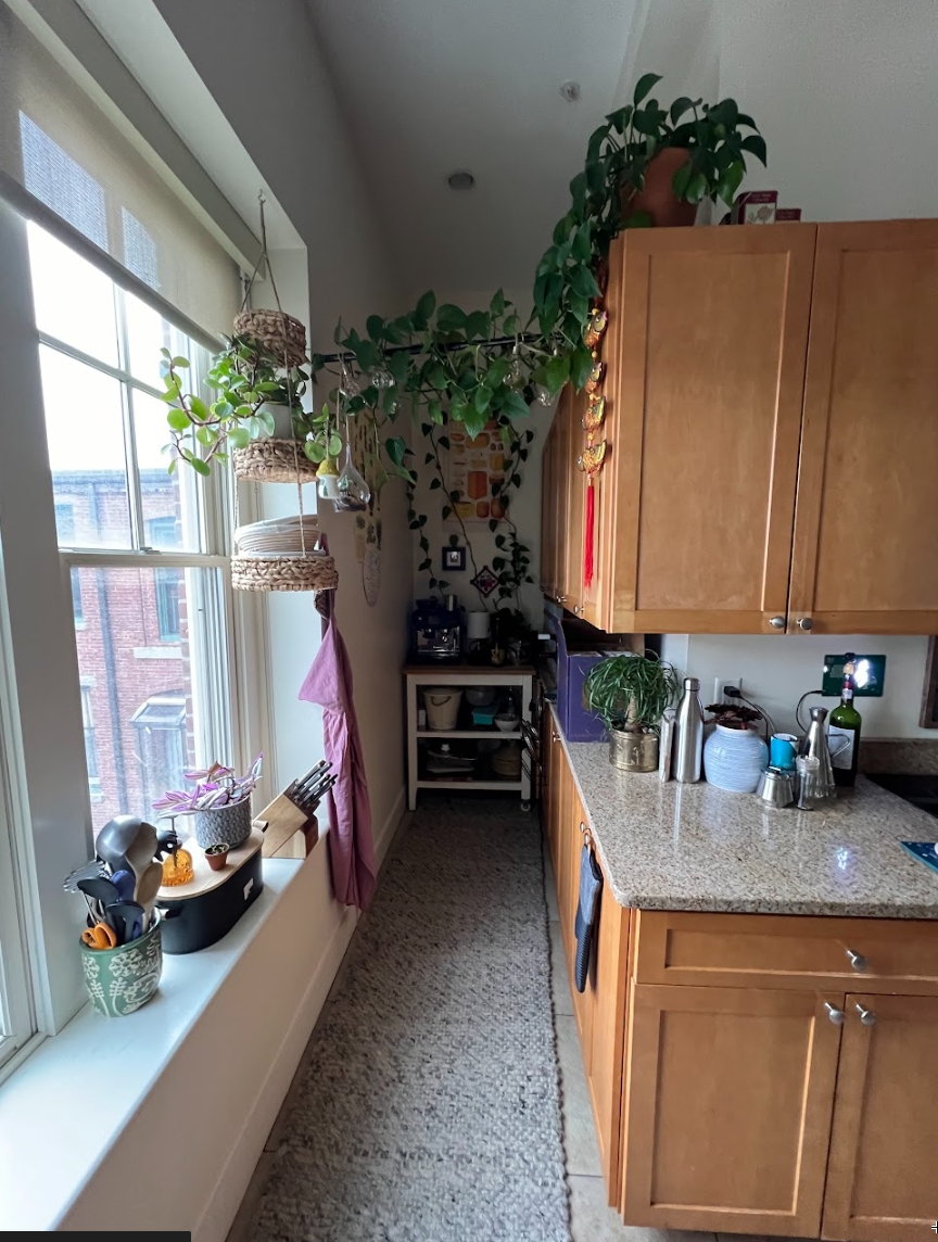 520 Harrison Ave, South End