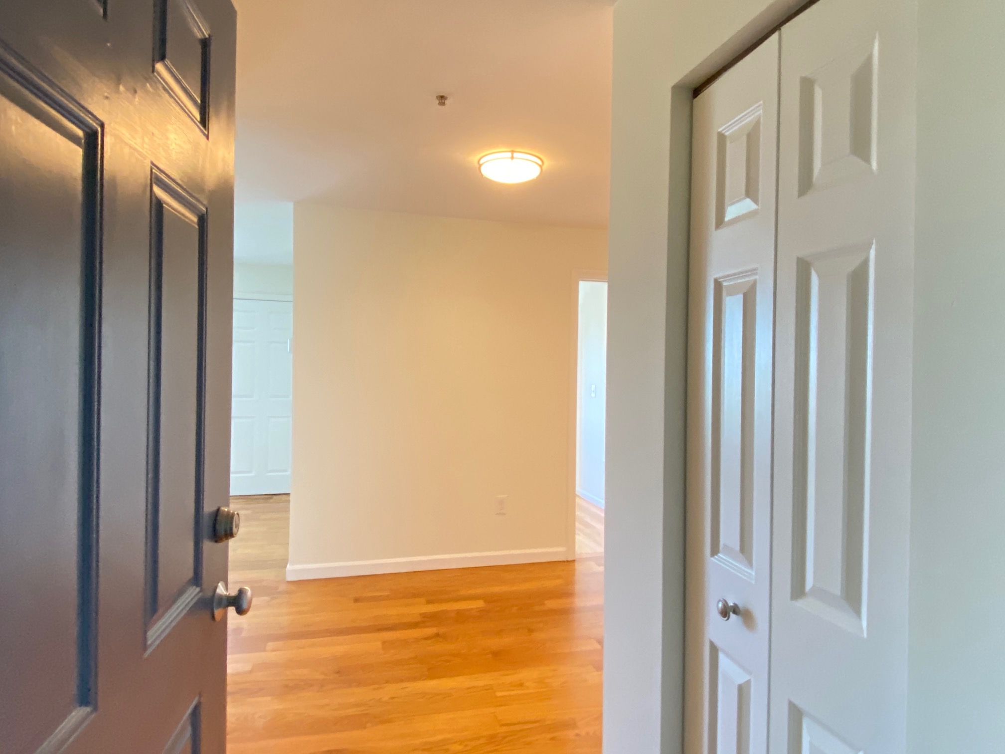 660 Cambridge, East Cambridge