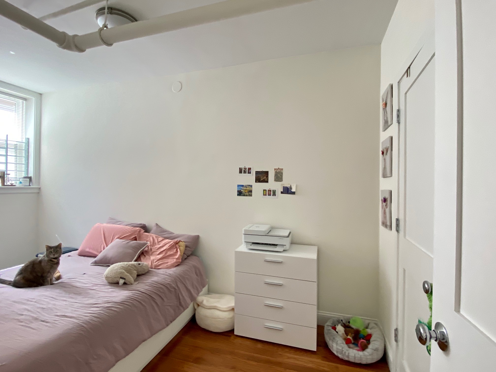 6 Orkney Rd, Brighton