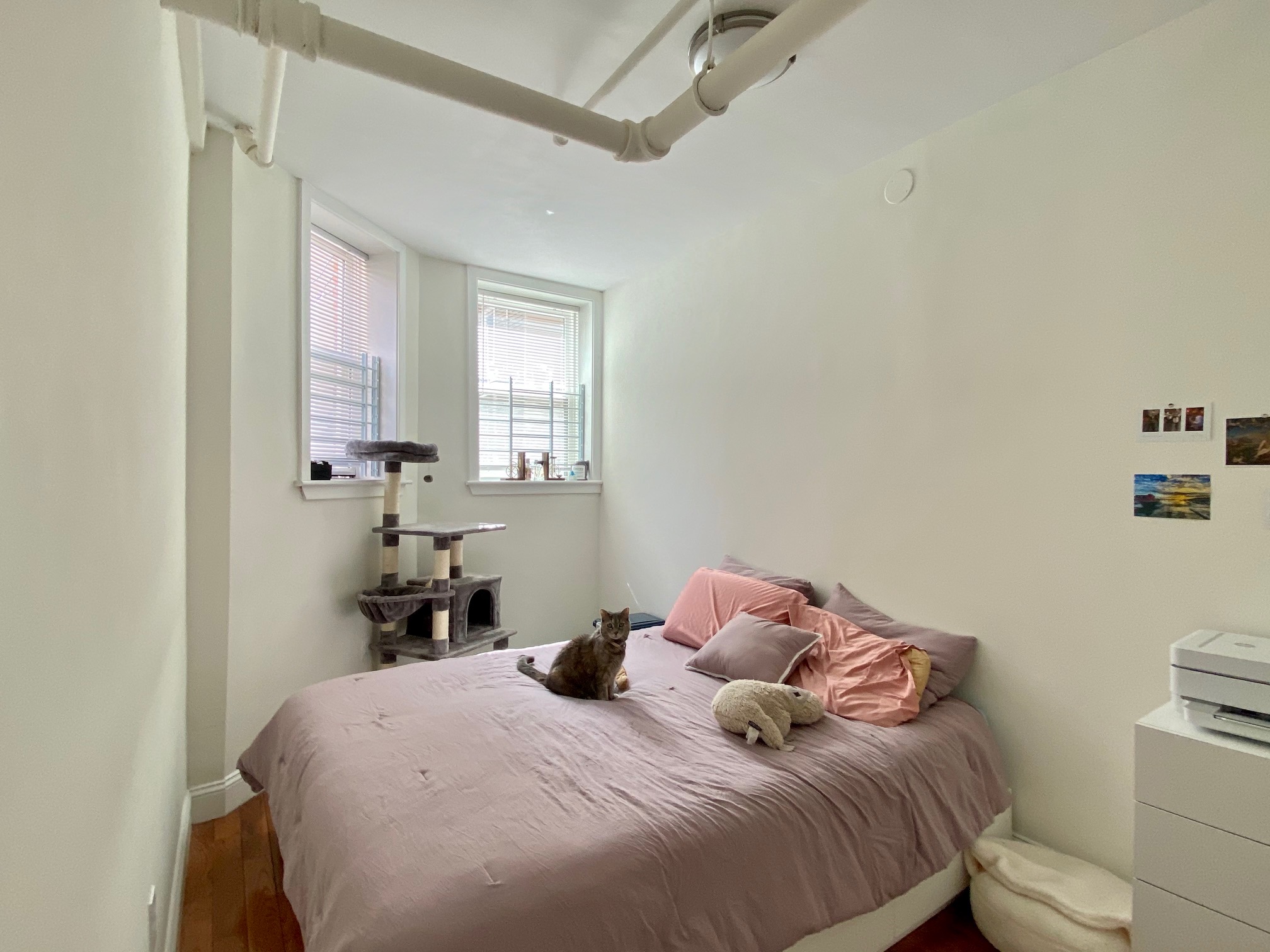 6 Orkney Rd, Brighton