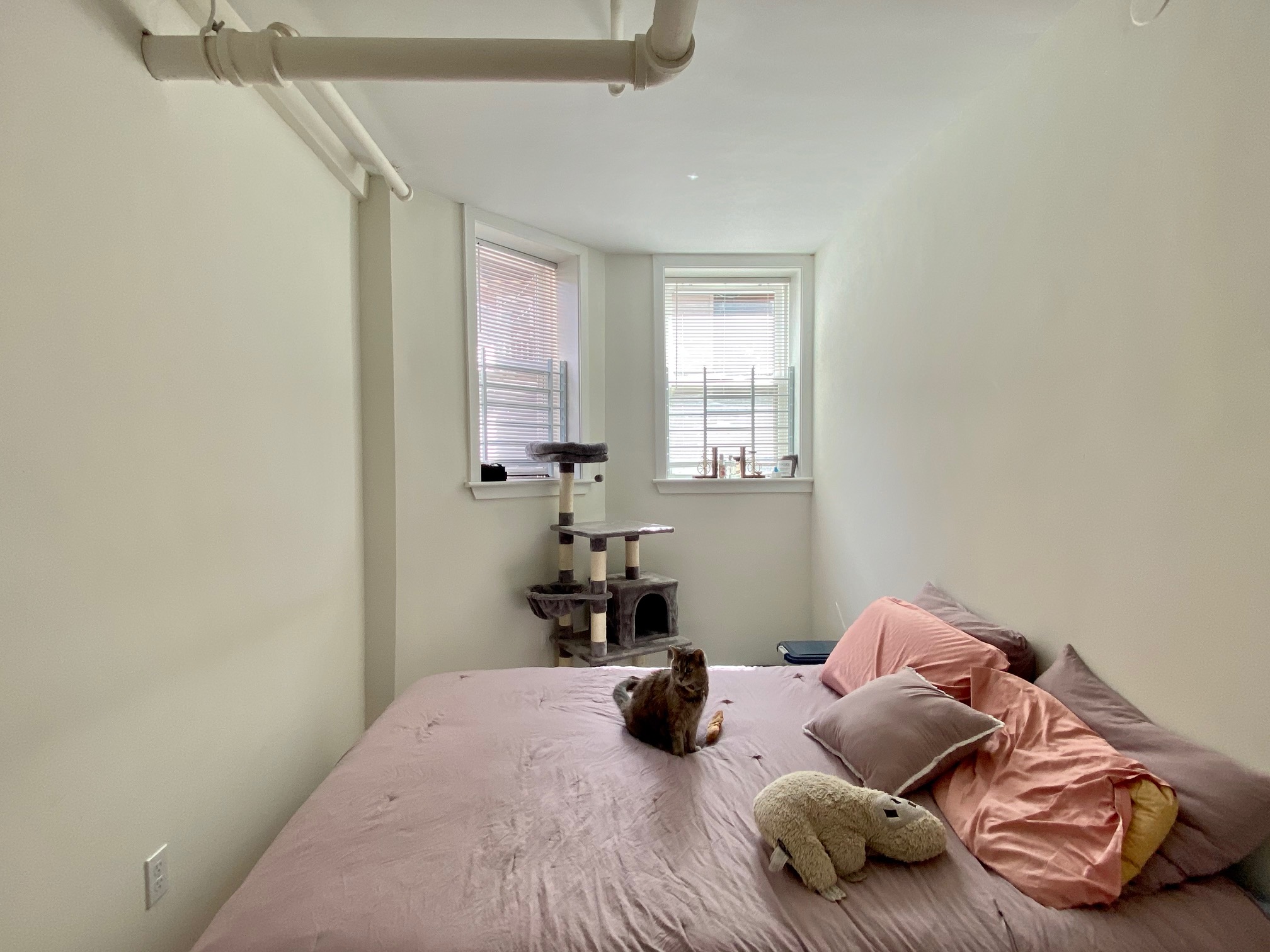 6 Orkney Rd, Brighton