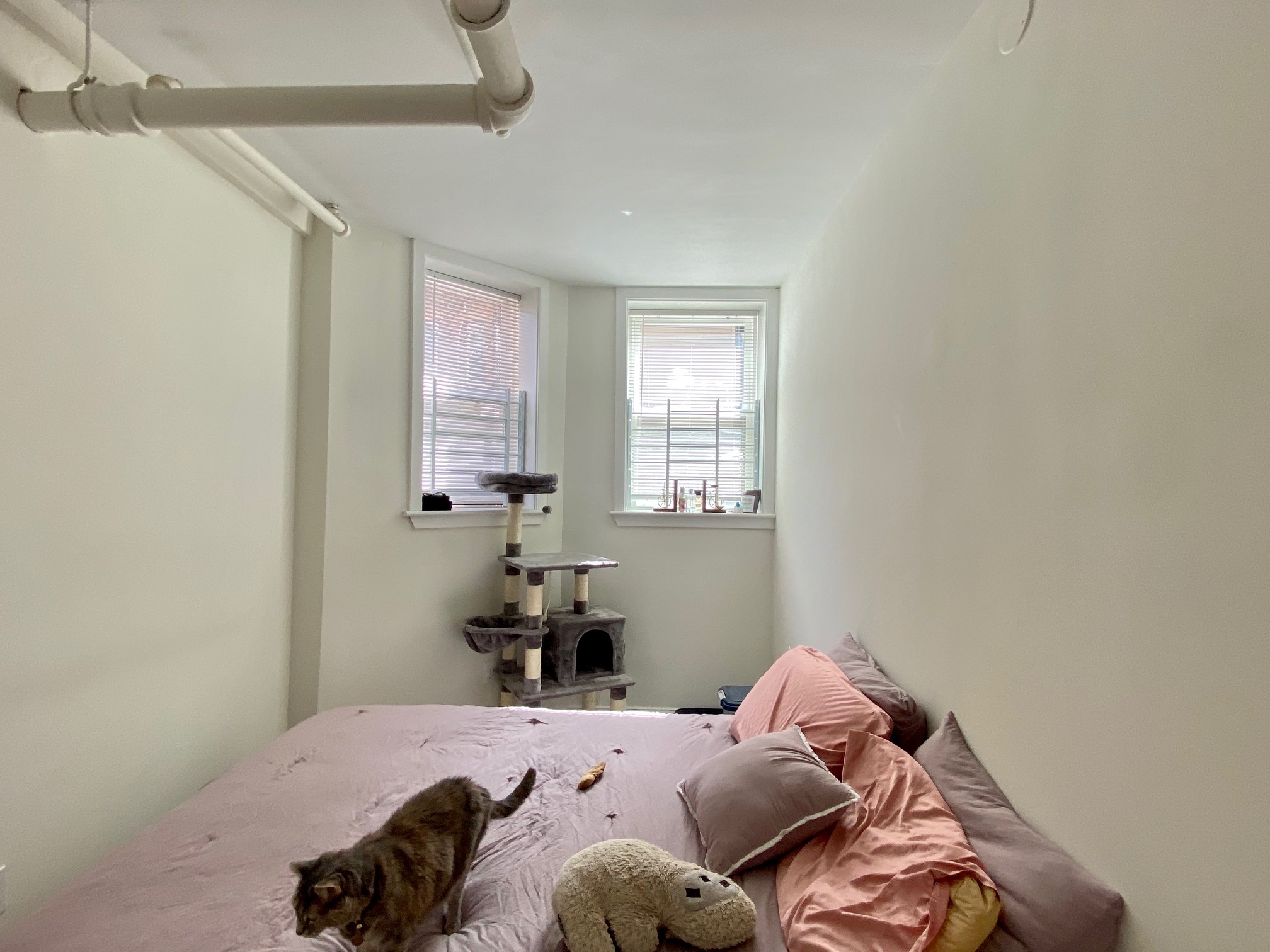 6 Orkney Rd, Brighton