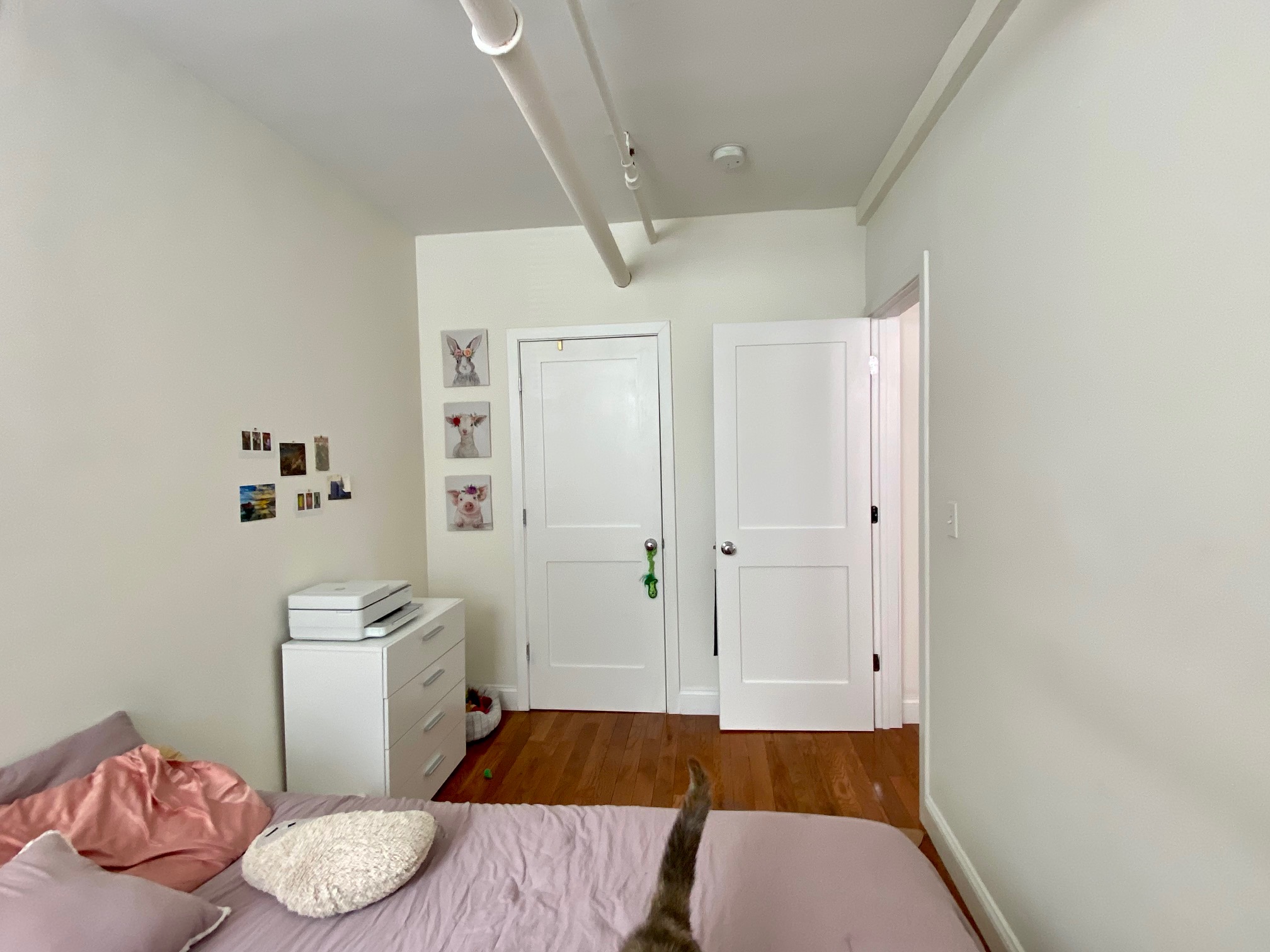 6 Orkney Rd, Brighton