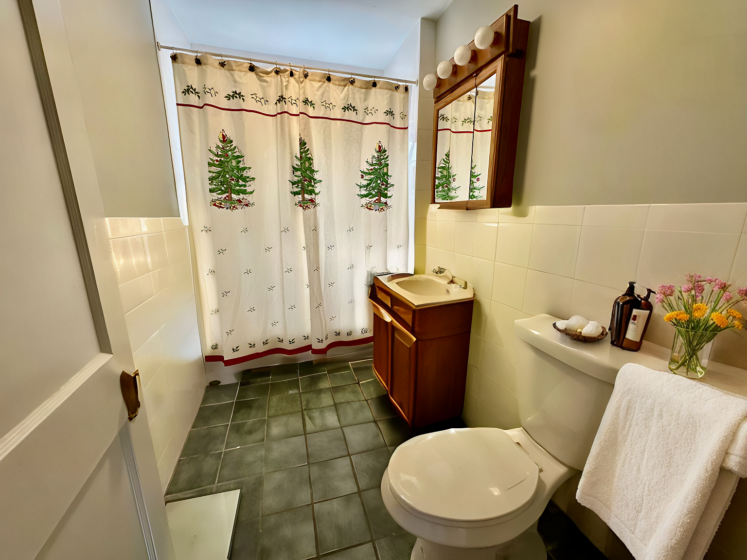 238 L St, South Boston