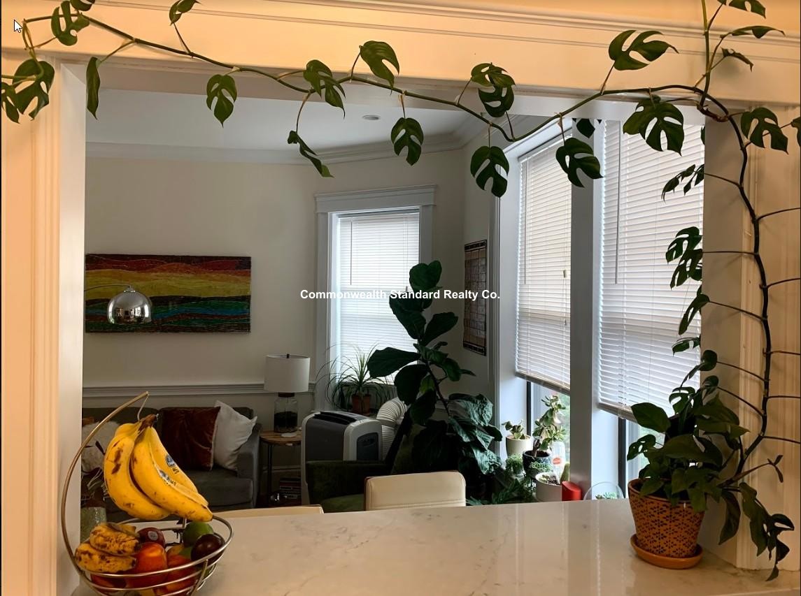 1340 Commonwealth Ave, Allston