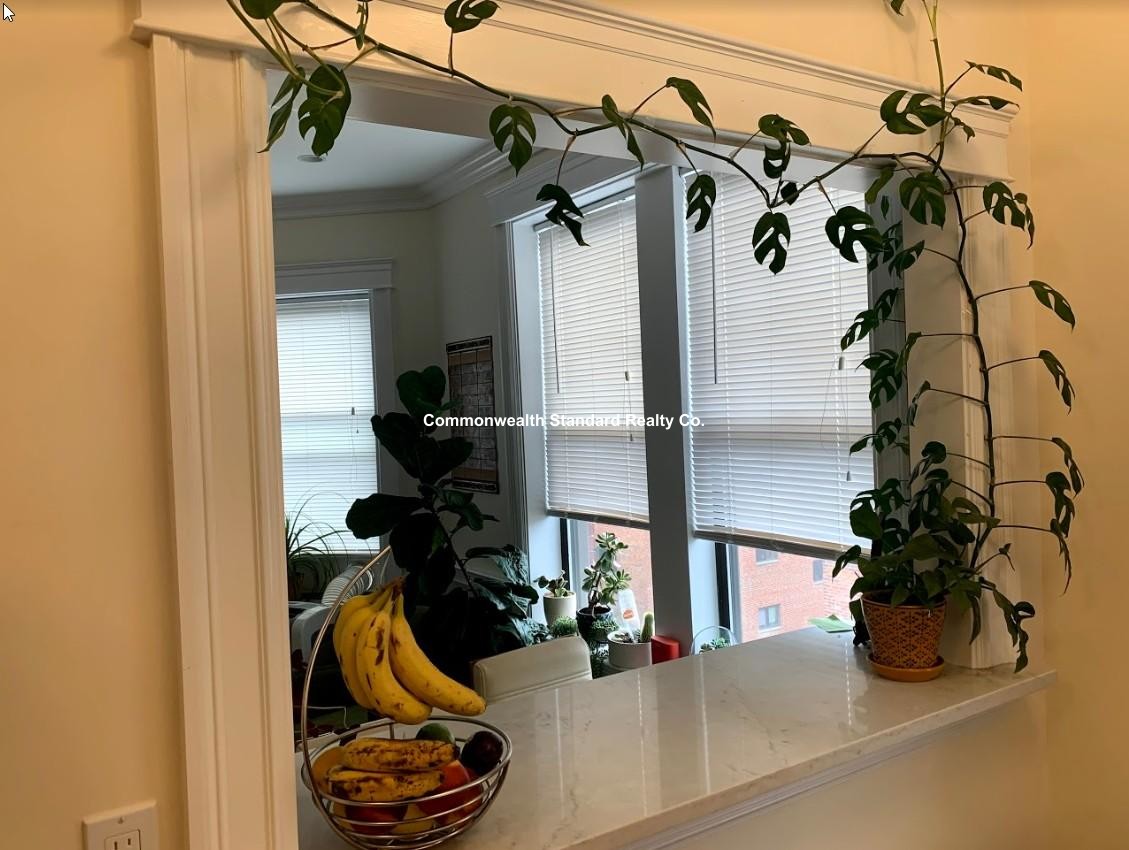 1340 Commonwealth Ave, Allston