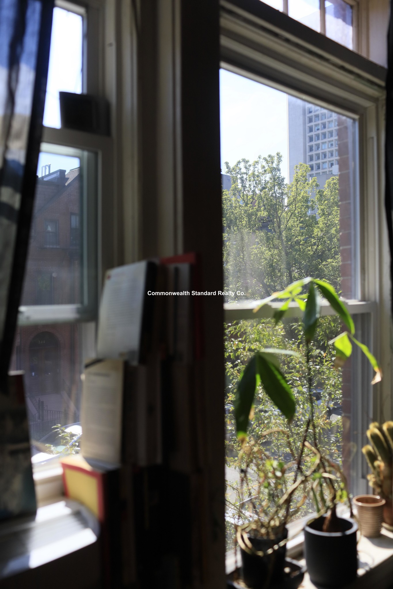 1 bed, 1 bath apartment for rent at 241 West Newton St Unit 7, Back Bay — photo 22 of 41