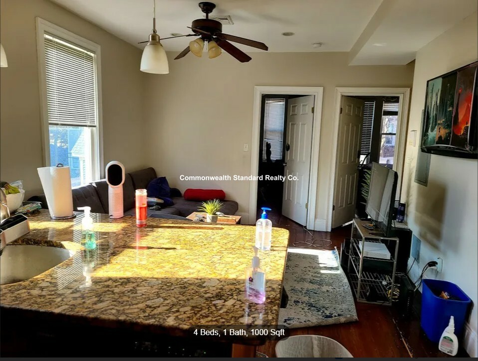 216 Freeman St, Coolidge Corner