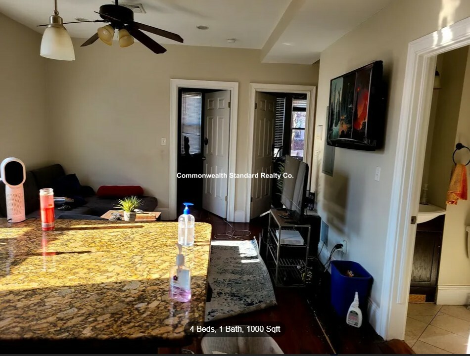 216 Freeman St, Coolidge Corner