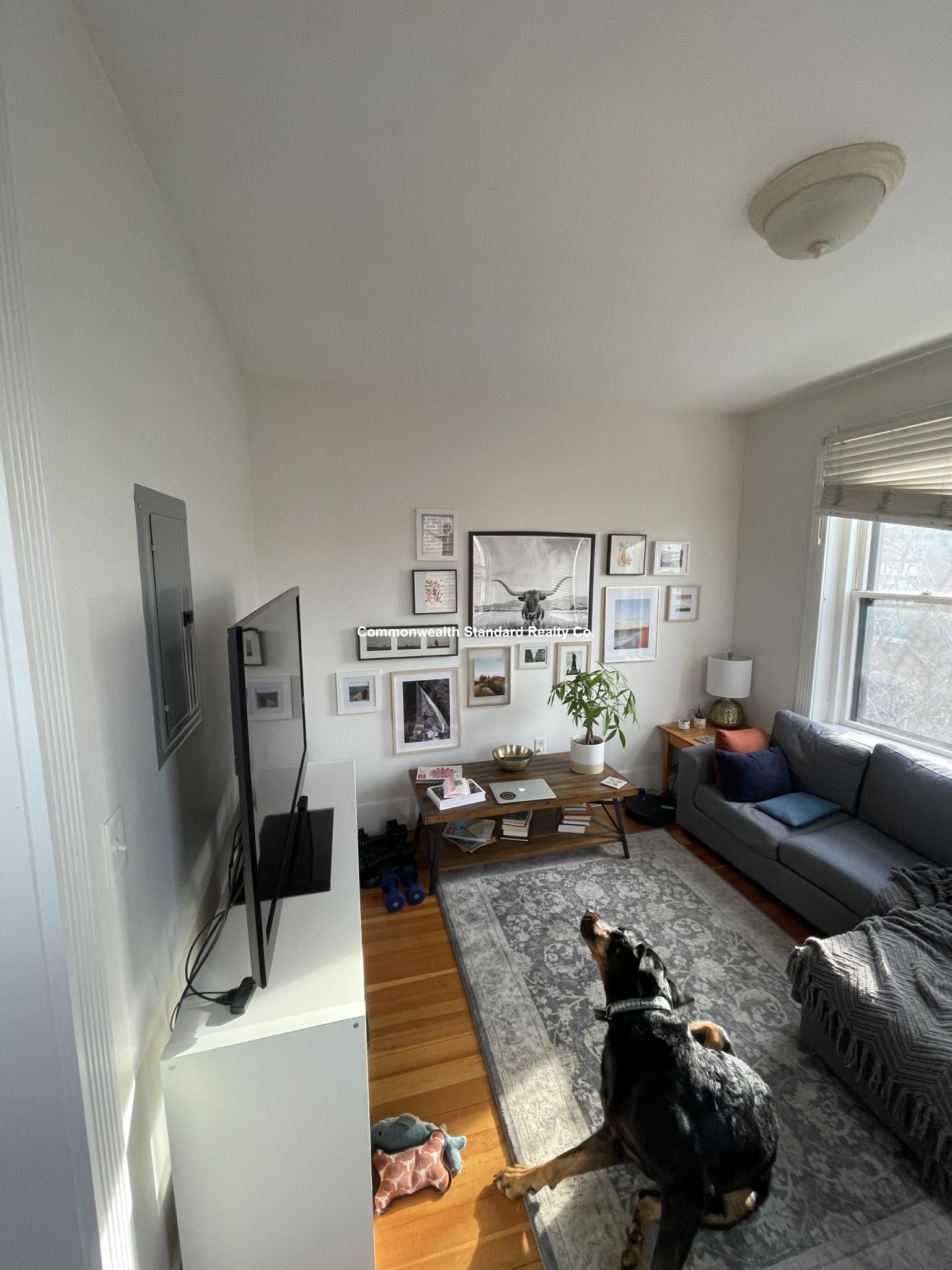 15 Revere St, Beacon Hill