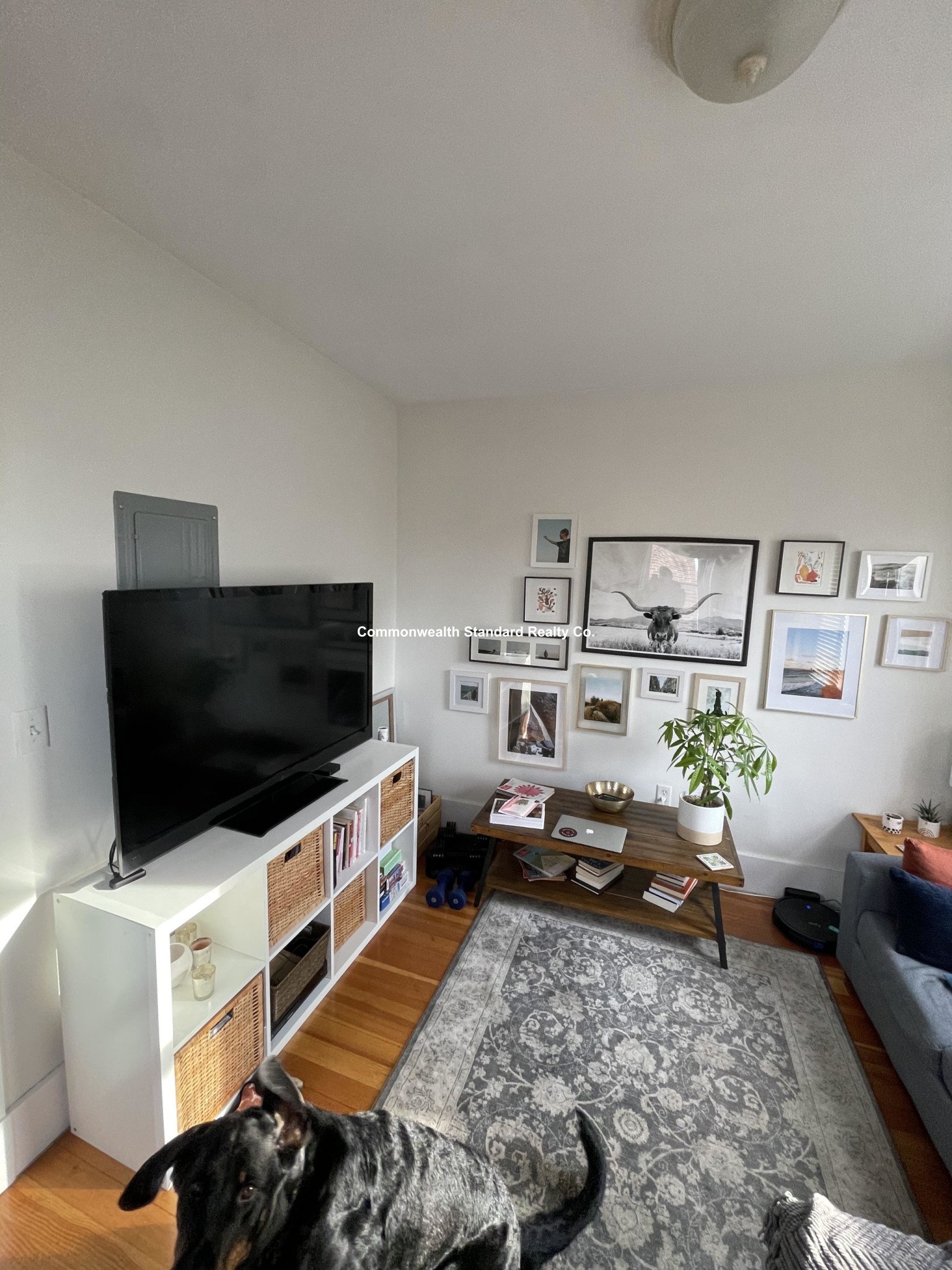 15 Revere St, Beacon Hill