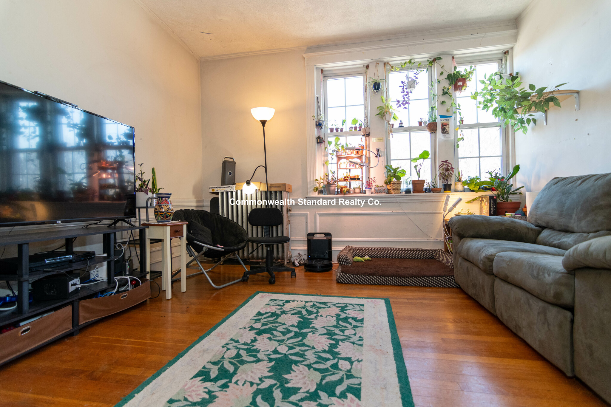 316 Saint Paul, Coolidge Corner