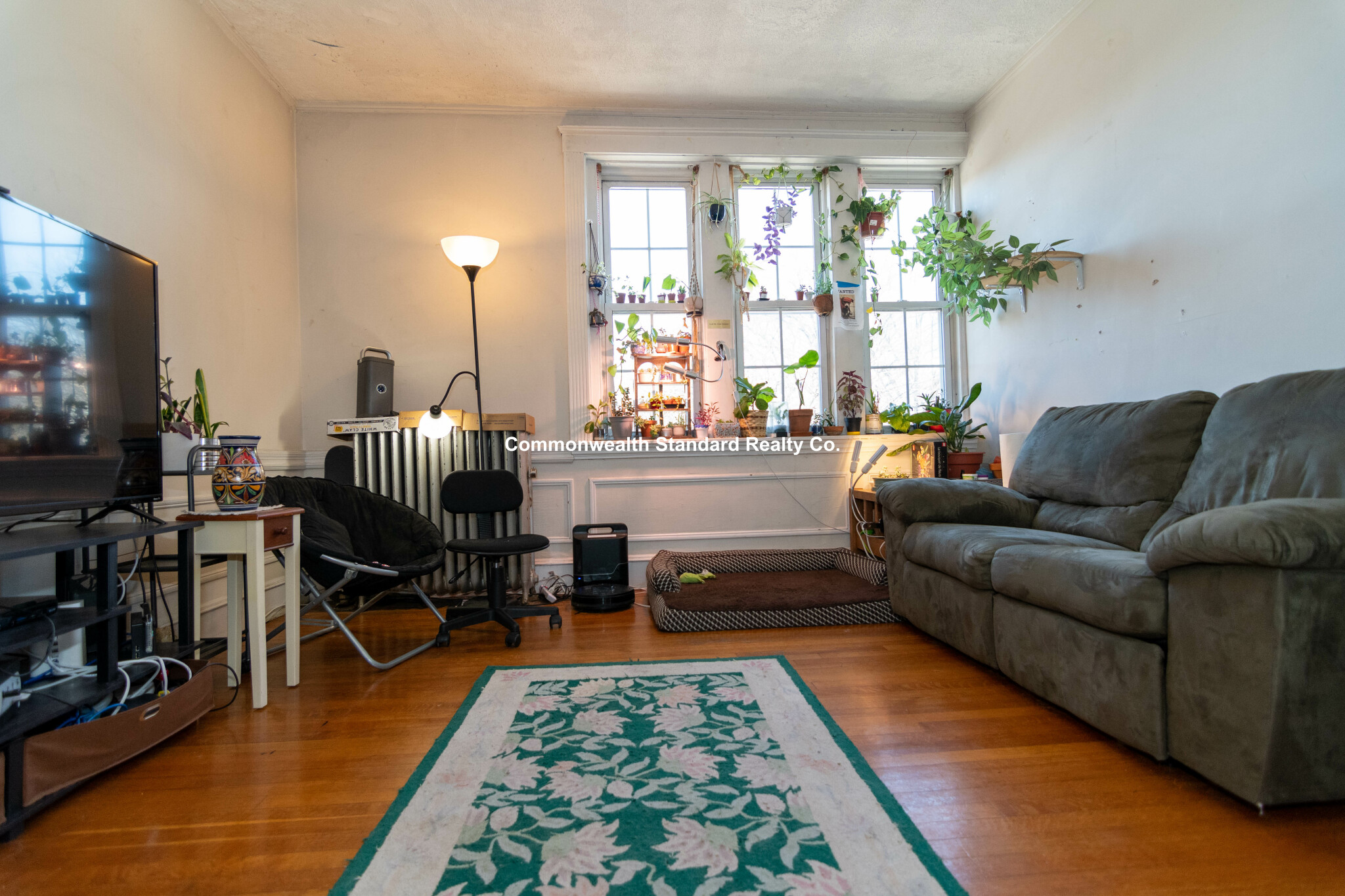 316 Saint Paul, Coolidge Corner