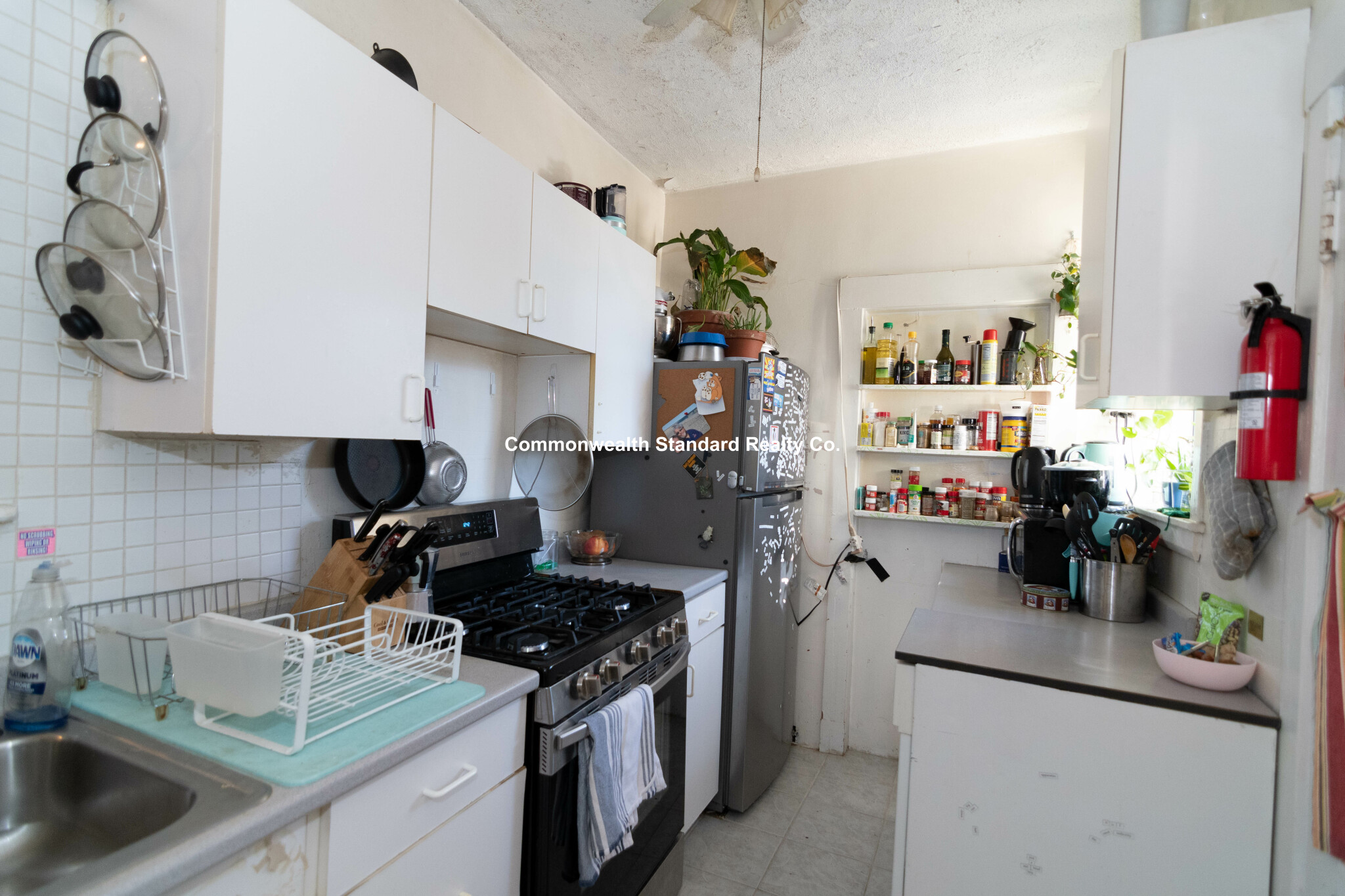 316 Saint Paul, Coolidge Corner