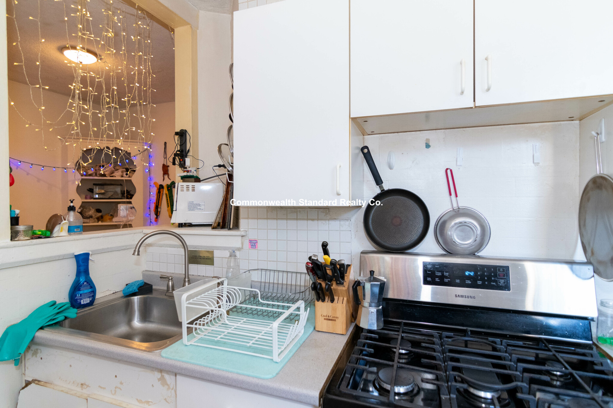 316 Saint Paul, Coolidge Corner