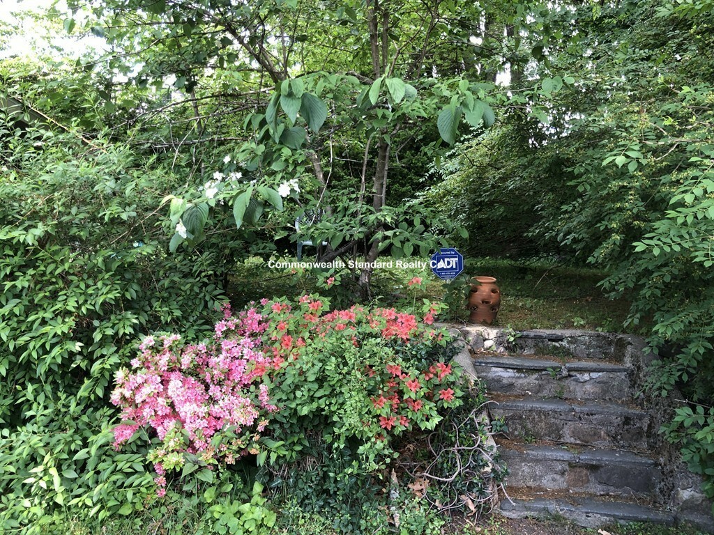 15 Hillside Rd, Newton