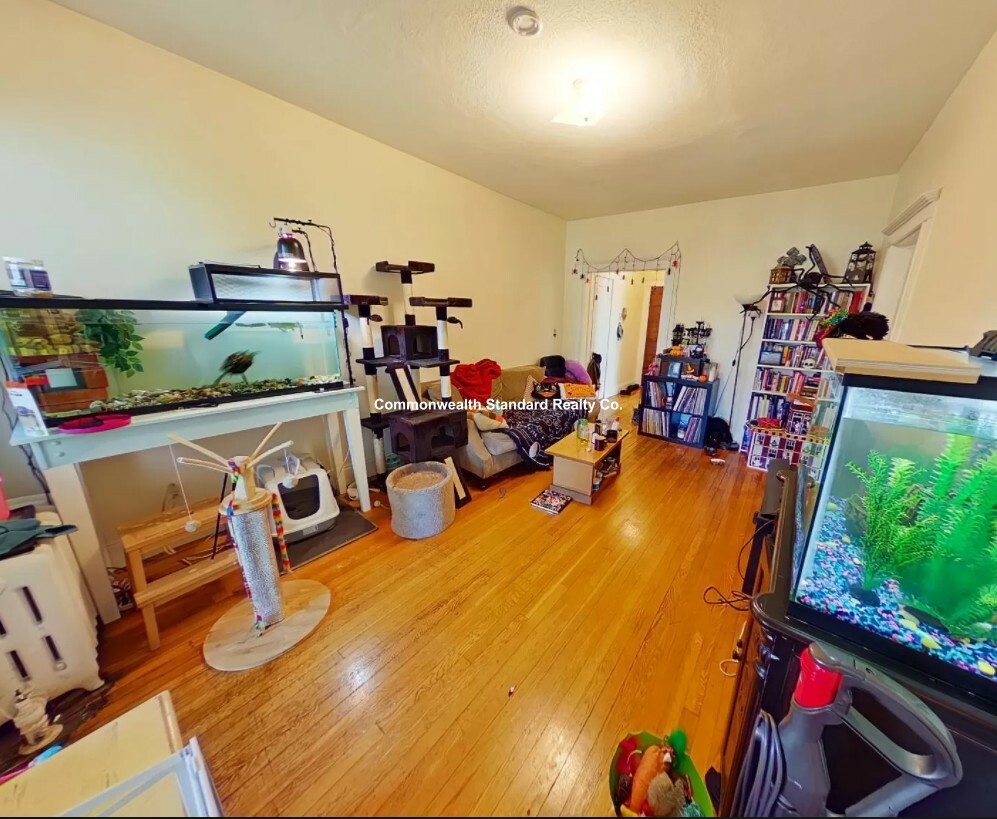 2 bed, 2 bath apartment for rent at 15 Melvin Ave Unit 4, Brighton — photo 5 of 9