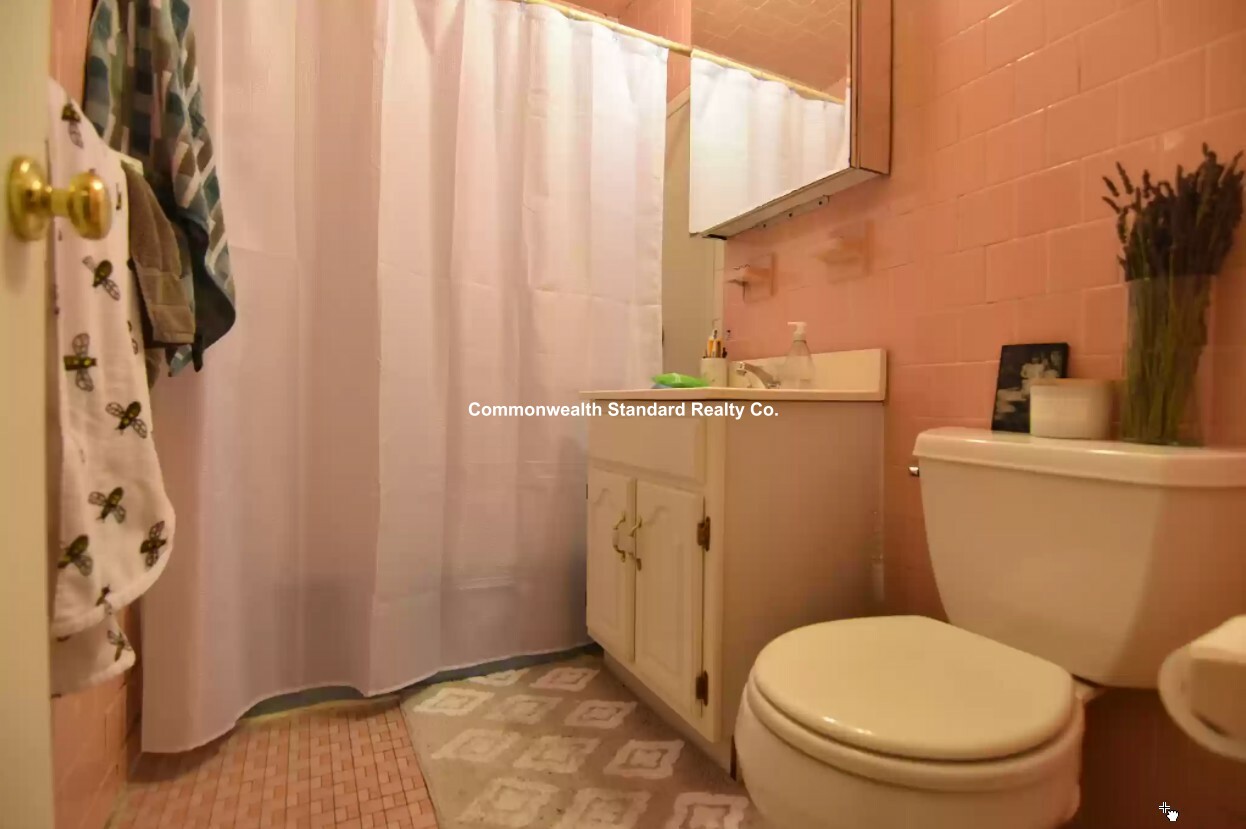 202 Saint Paul St, Coolidge Corner