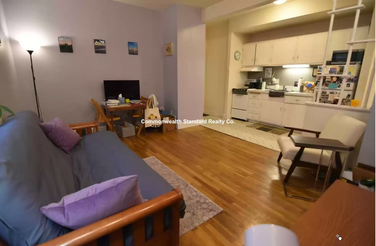 202 Saint Paul St, Coolidge Corner