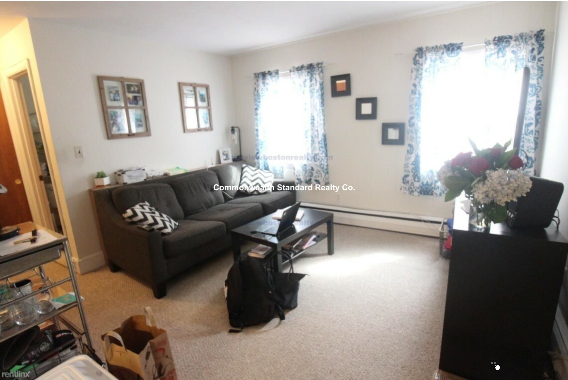 50 Parkman St, North Brookline