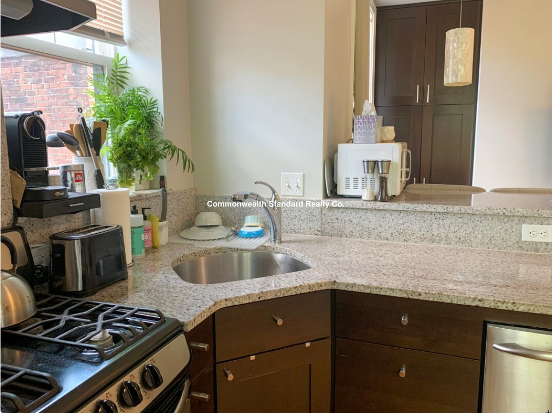 33 Anderson St, Beacon Hill