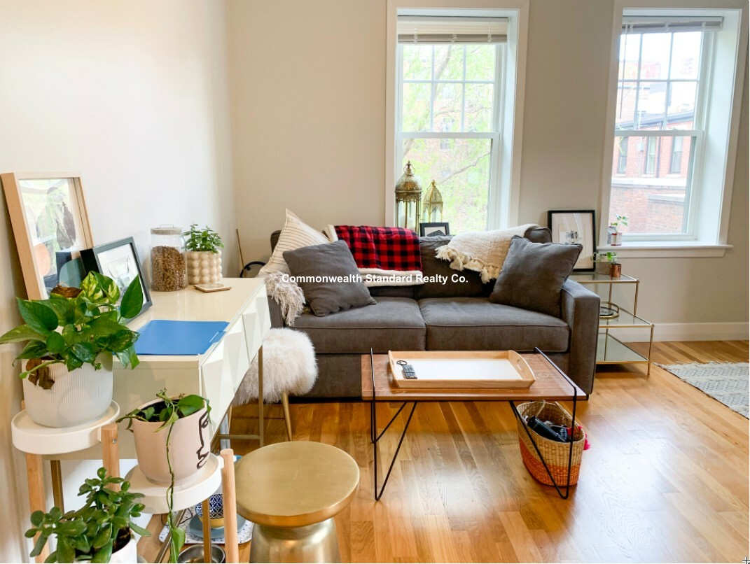 33 Anderson St, Beacon Hill