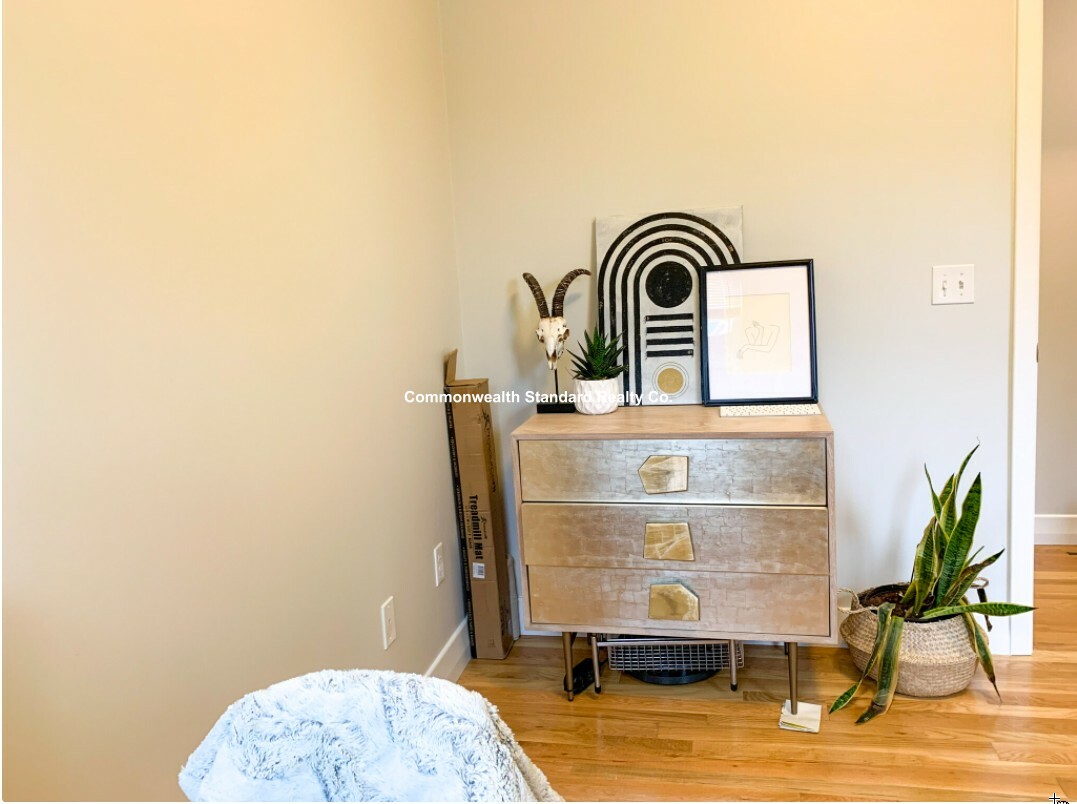 33 Anderson St, Beacon Hill