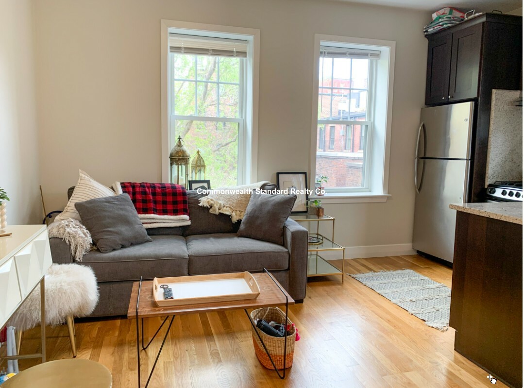 33 Anderson St, Beacon Hill