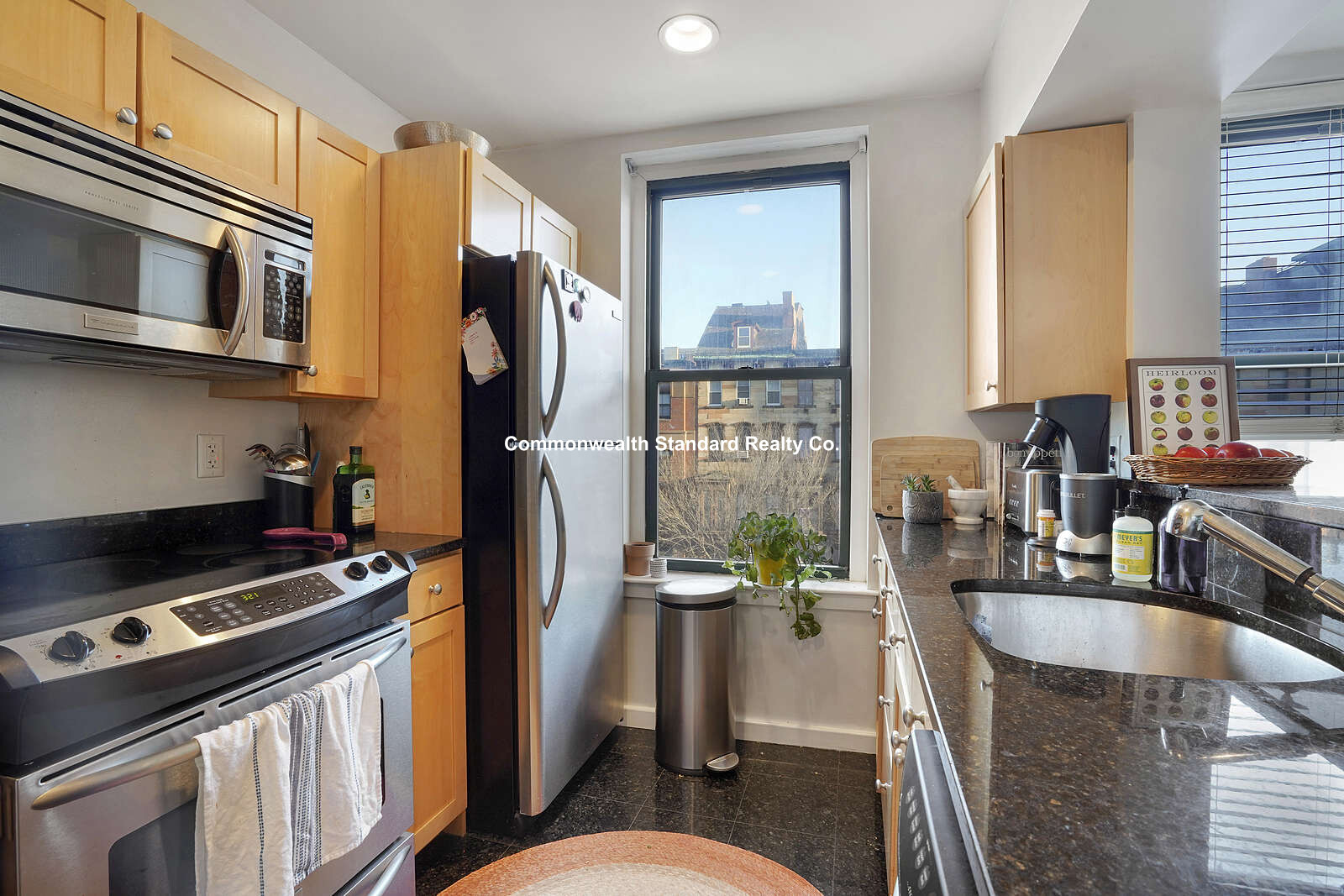 1661 Washington St, South End