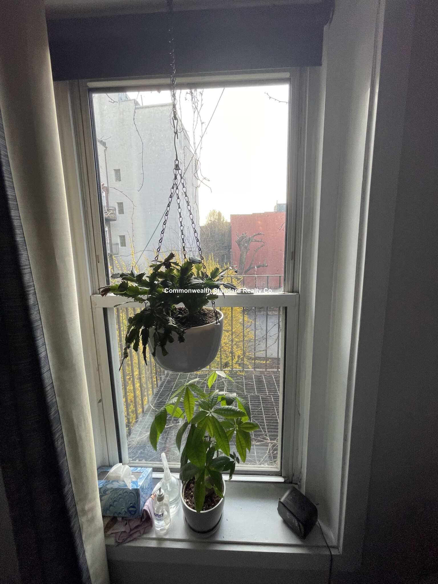 12 Foster St, North End