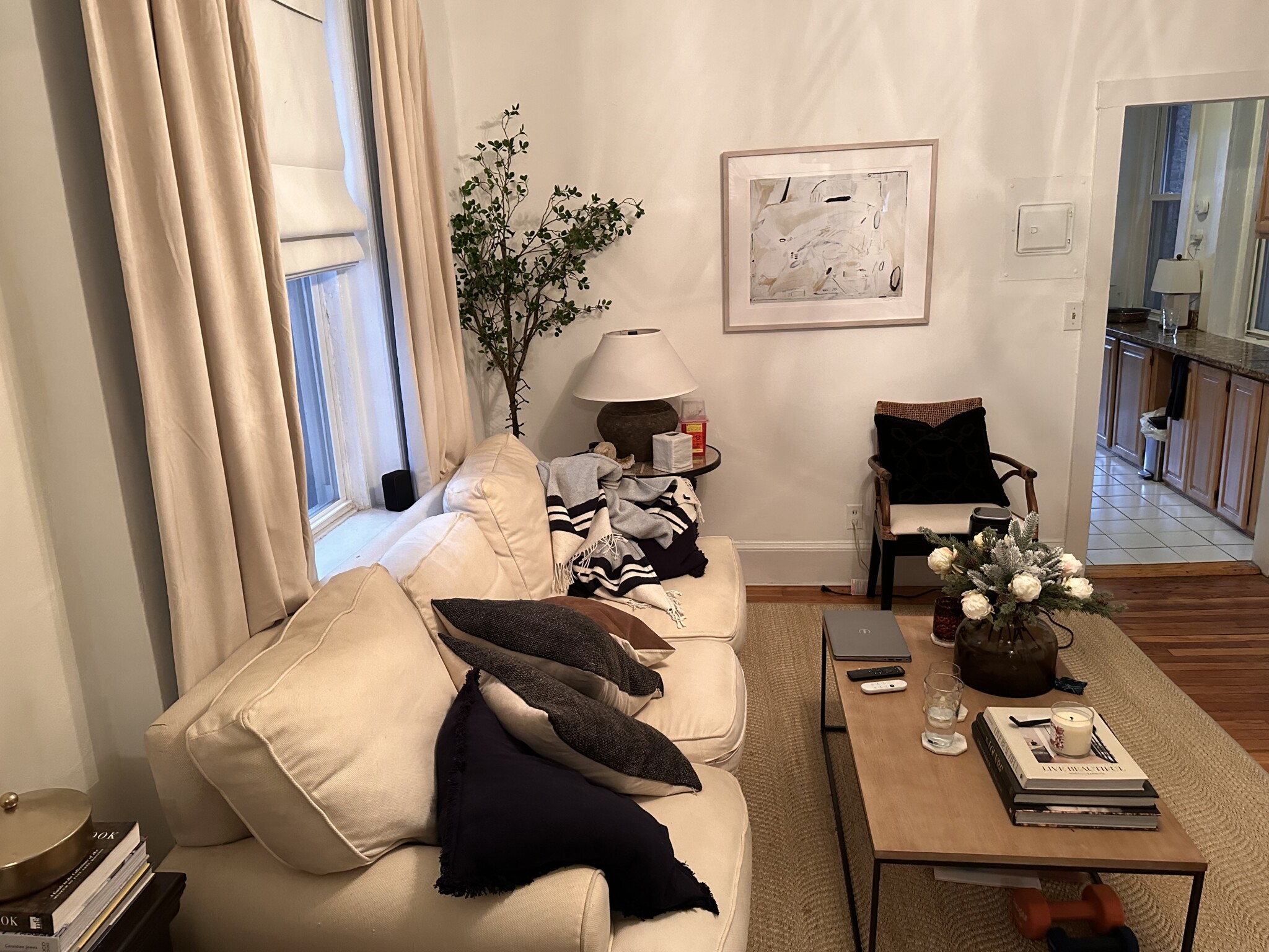 31 Grove St, Beacon Hill