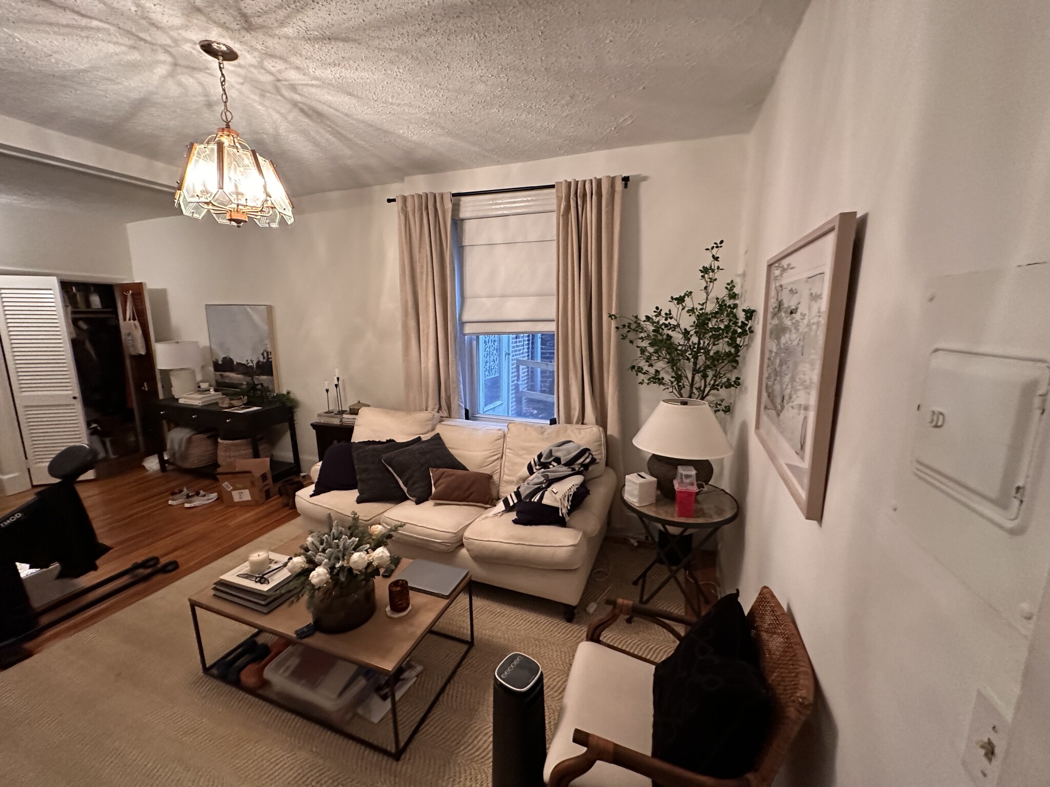 31 Grove St, Beacon Hill