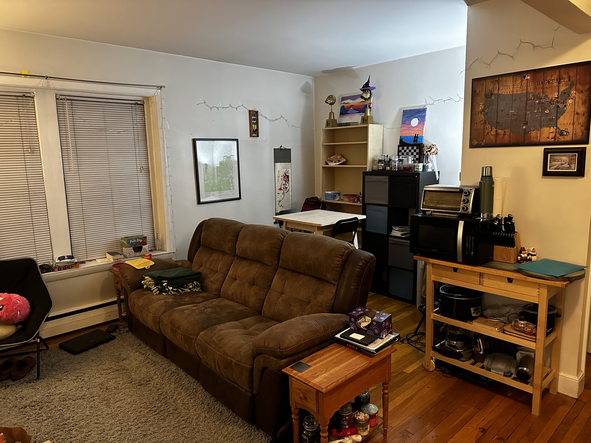 202 Saint Paul St, Coolidge Corner