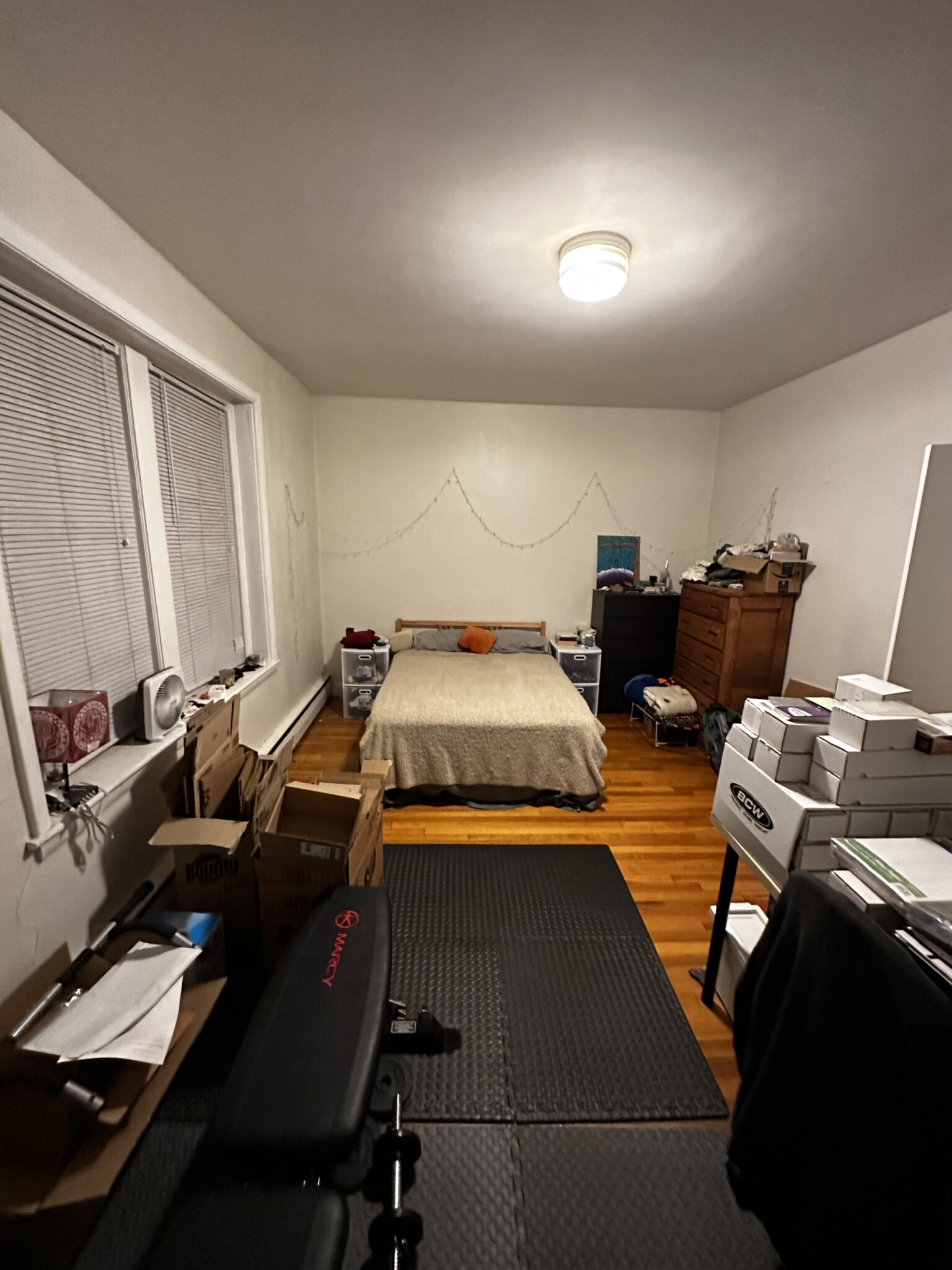 202 Saint Paul St, Coolidge Corner