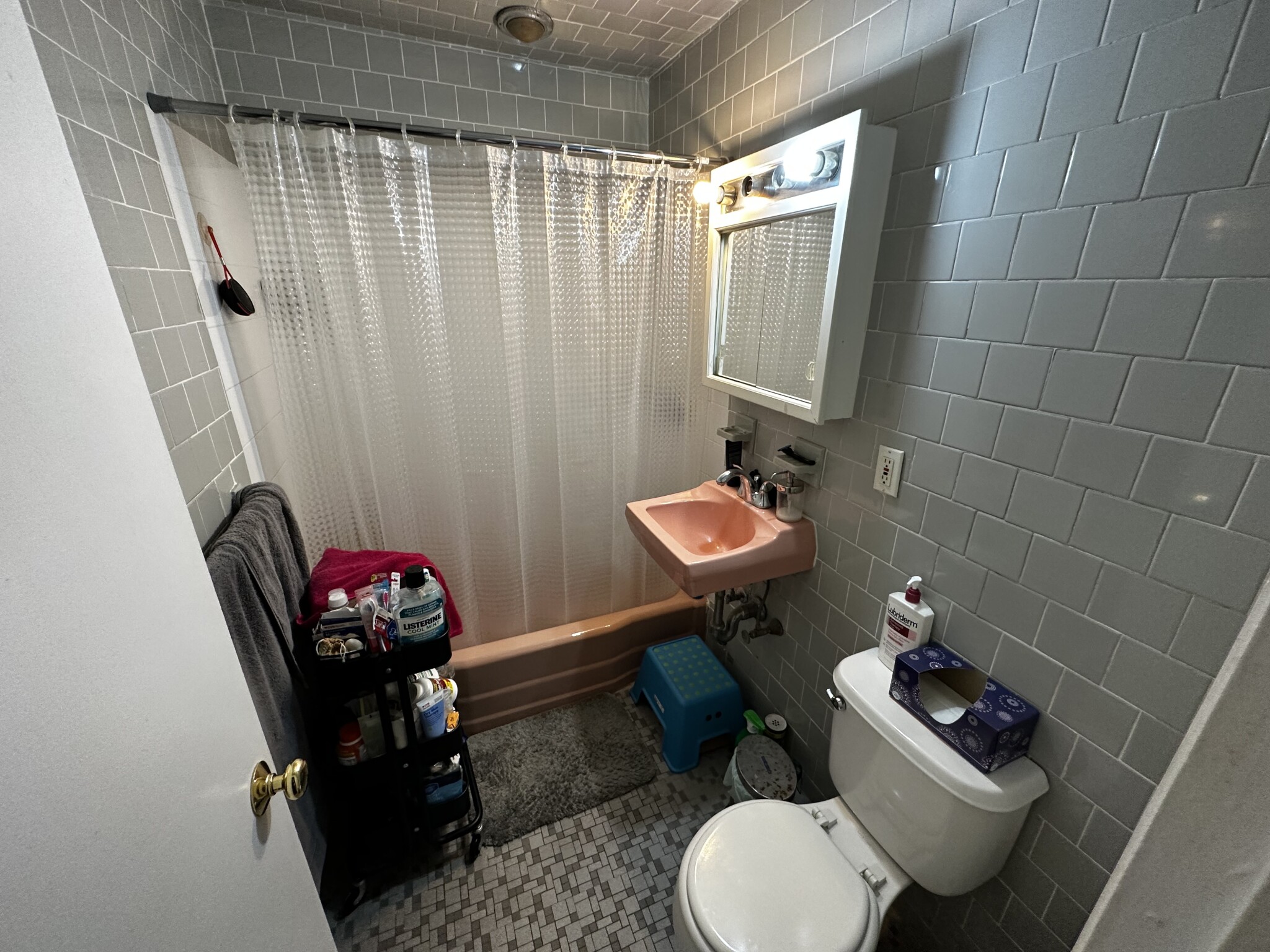 202 Saint Paul St, Coolidge Corner